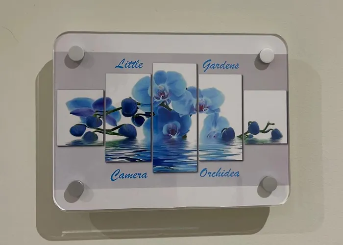 Little Gardens 4* Rom